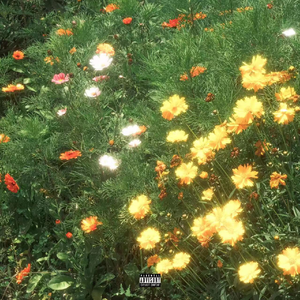 成年一区无码在线观看
