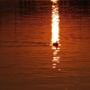 成年一区无码在线观看
