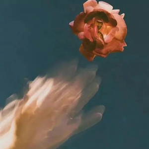 成年一区无码在线观看
