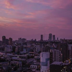 成年一区无码在线观看
