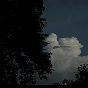 成年一区无码在线观看
