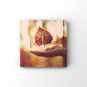 成年一区无码在线观看
